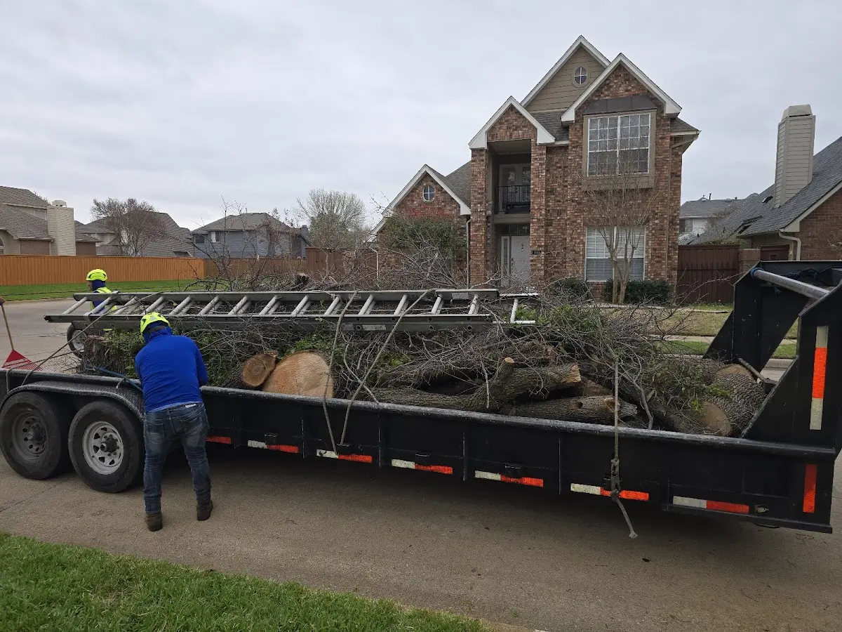 Expert Tree Removal with proper safety equipment in Ojibwa